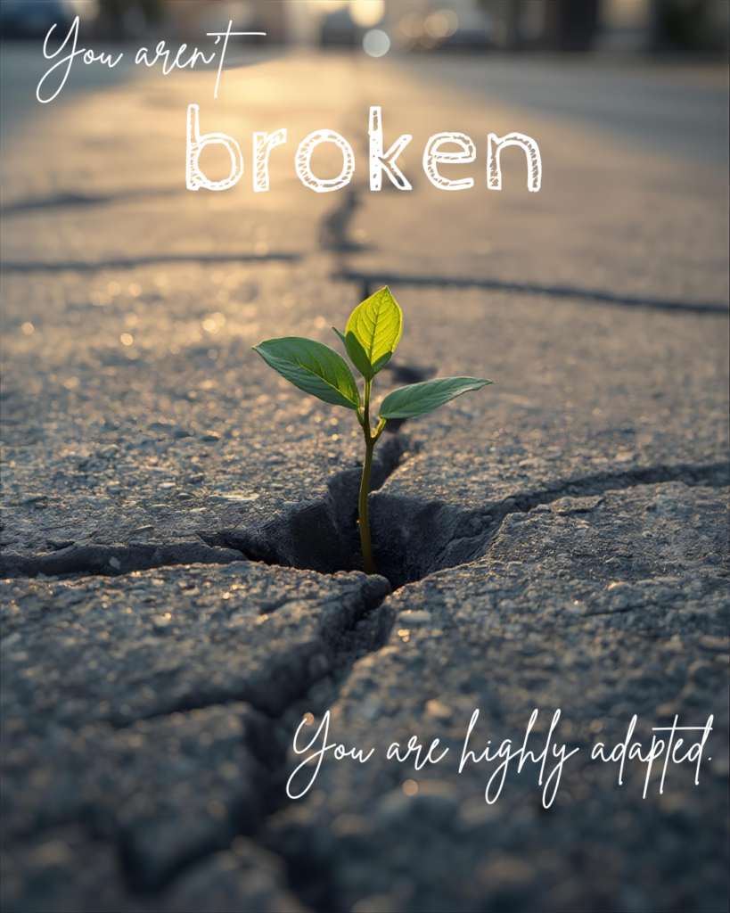trauma.habits.wp